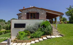 Villa Eliso