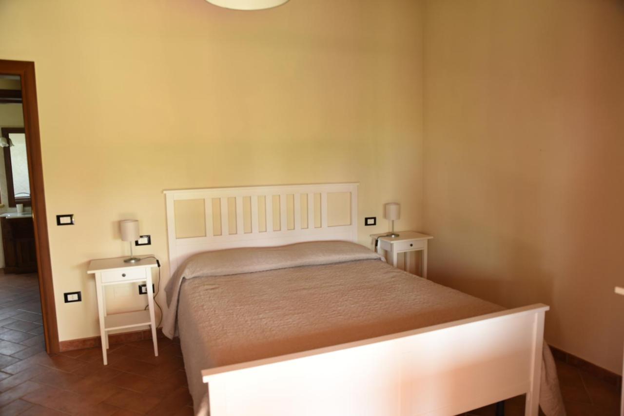Villa Eliso Bibbona Esterno foto